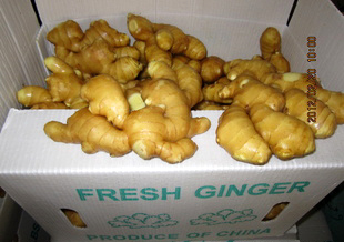 Full air dried ginger